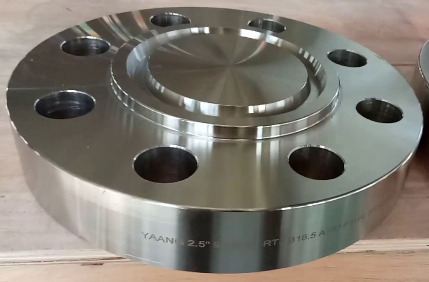 Ring Type Joint Flange