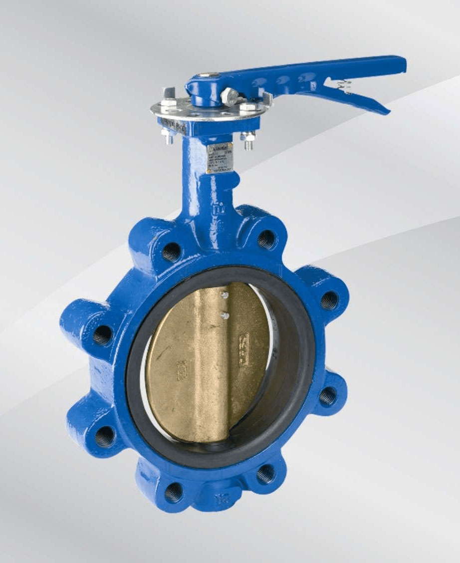 Butterfly Valve