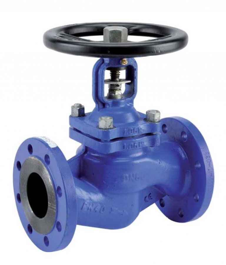 Globe Valve